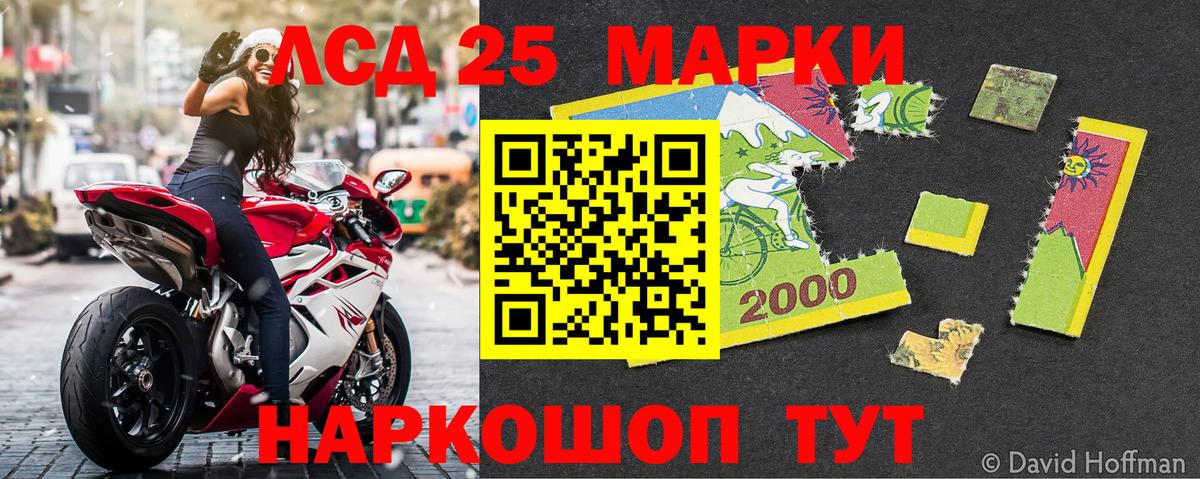 Галлюциногенные грибы Котлас