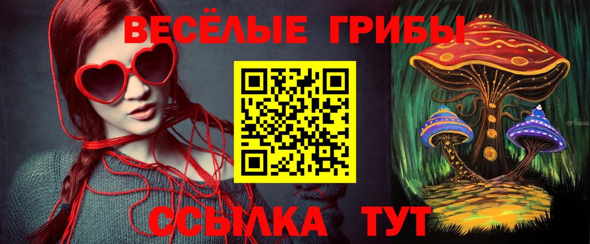 цена наркотик  Псилоцибиновые грибы MAGIC MUSHROOMS  Вход с VPN  Котлас  Псилоцибиновые грибы Magic Shrooms 